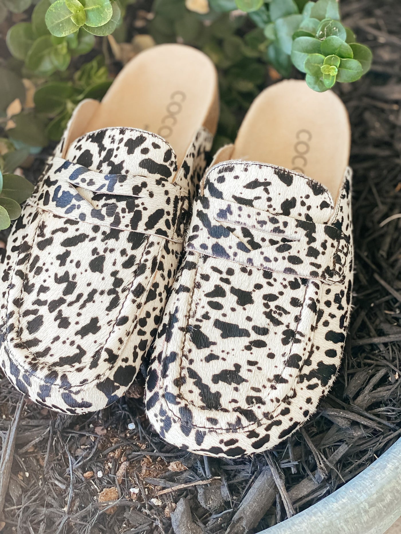 Rush Black Spots Mule
