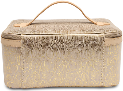Leah Train Case