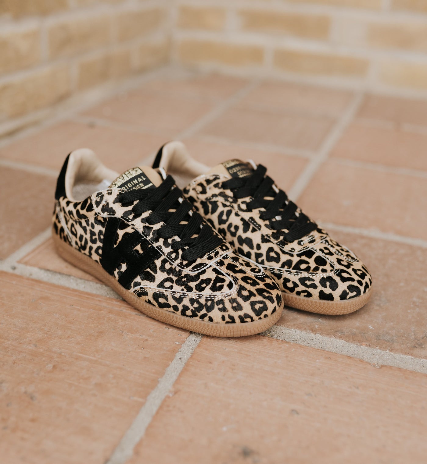 Dreamer 2 Wild Leopard