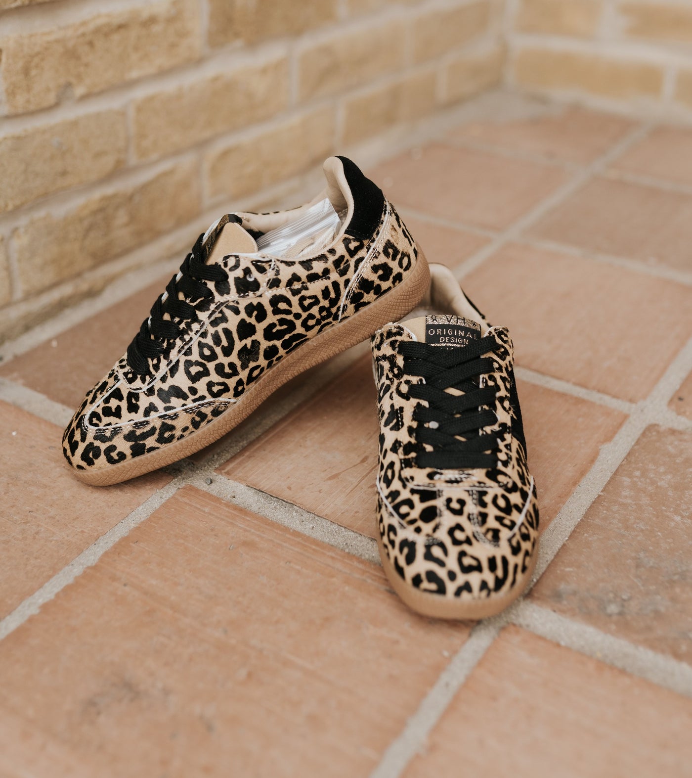 Dreamer 2 Wild Leopard