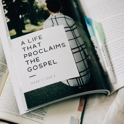 Grace in the Wilderness Study