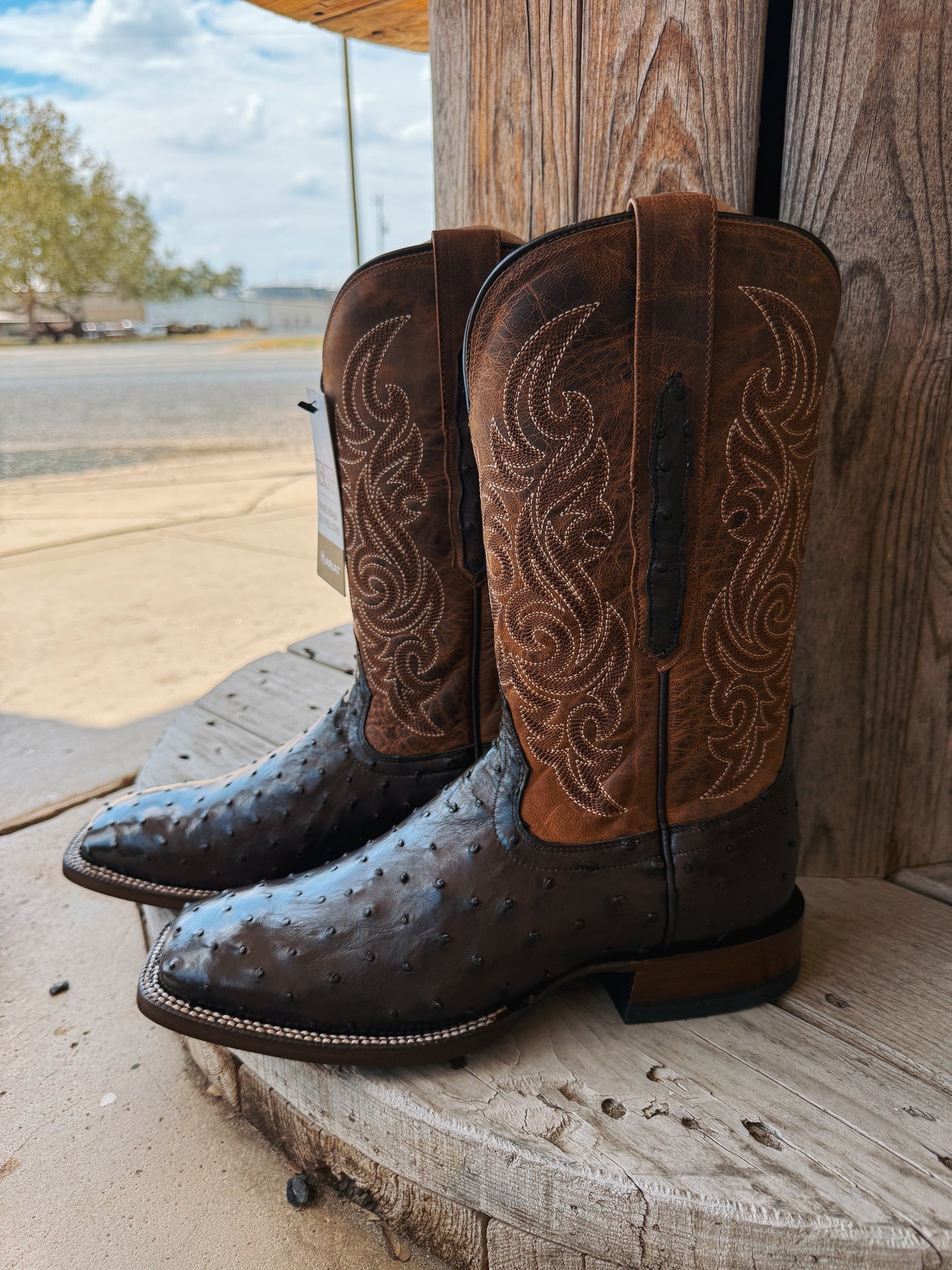 Ariat Men's Classic Cash Wide Square Toe Boot Cigar Full Quill Ostrich 9001078481