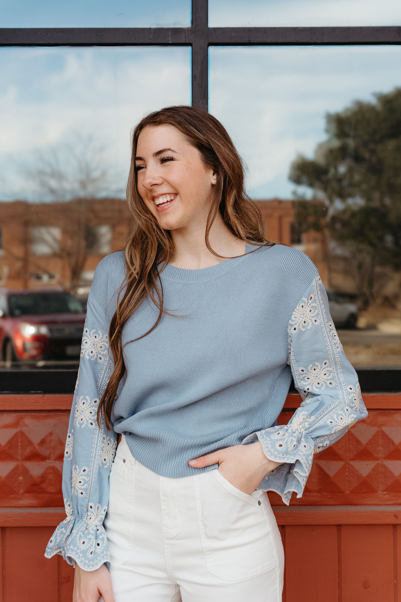 Blue Eyelet Ruffle Sleeve Knit Sweater T25470