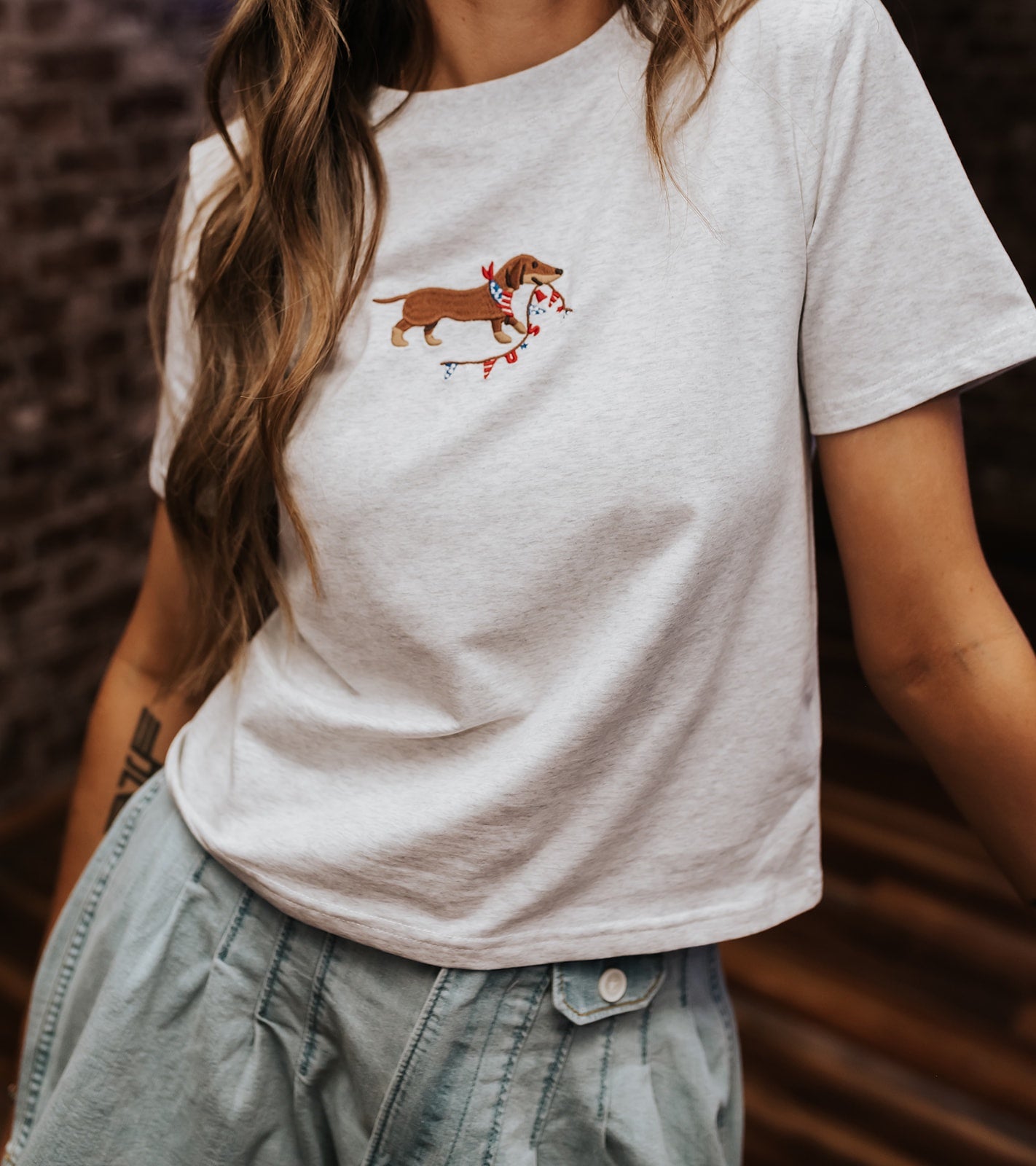 Melange Short Sleeve "USA Dog" Tee MT21121