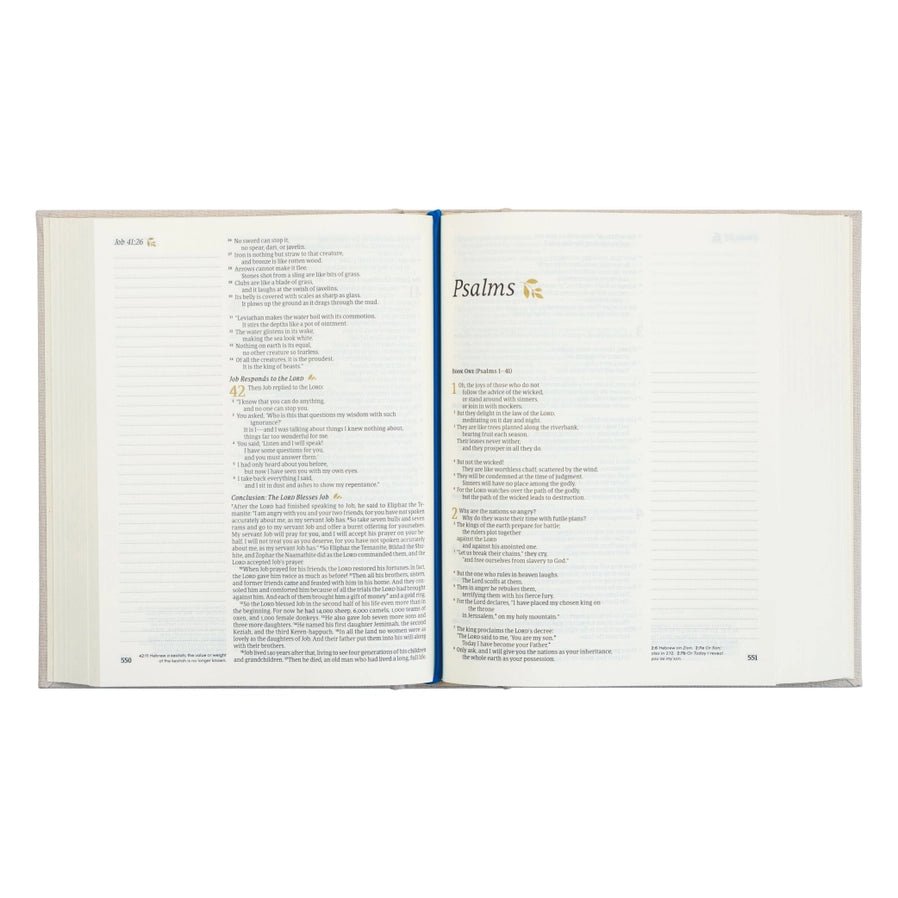 Adelaide NLT Notetaking Bible - Southern Soule Designs