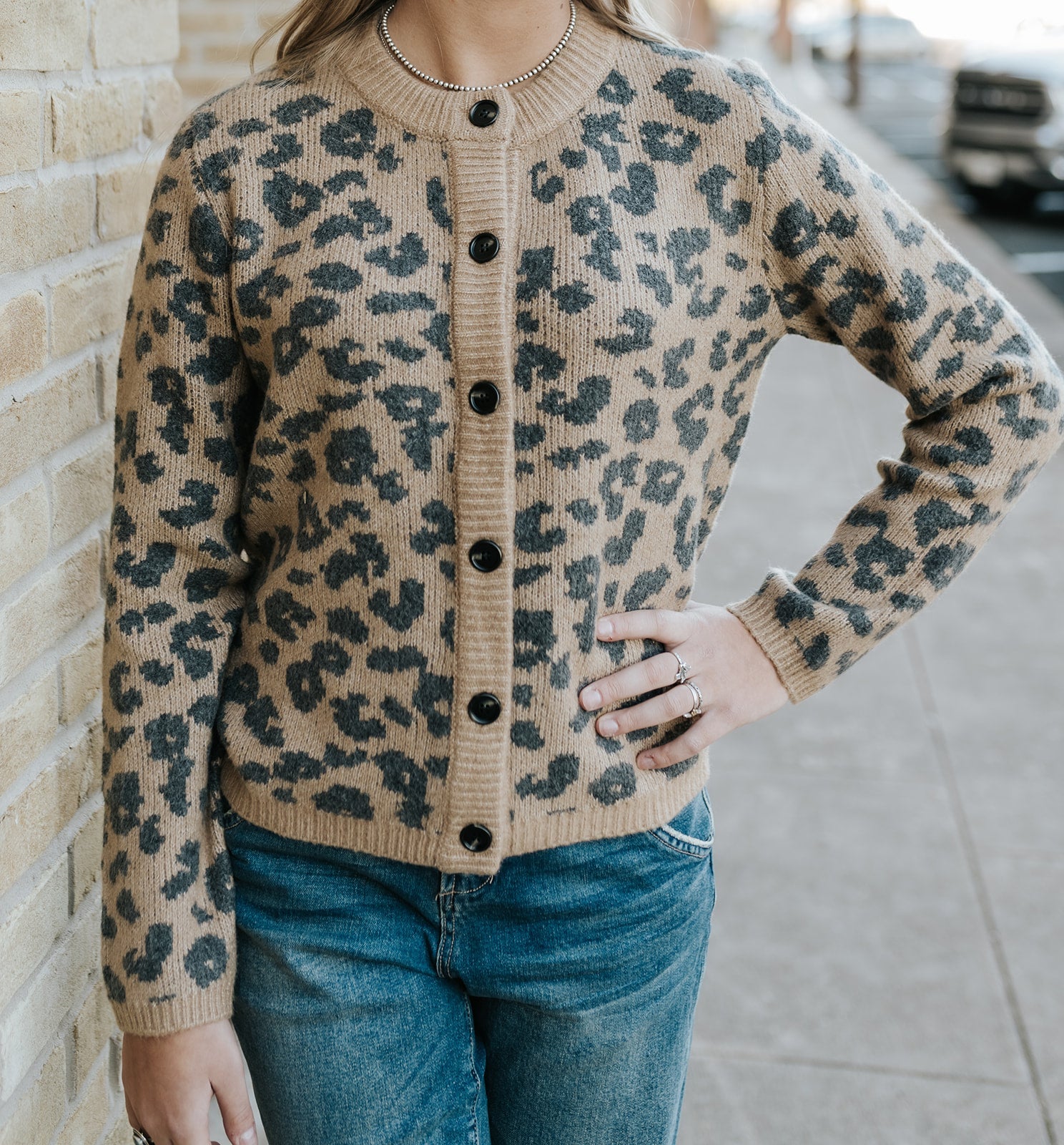 Amina Leopard Sweater - Southern Soule Designs