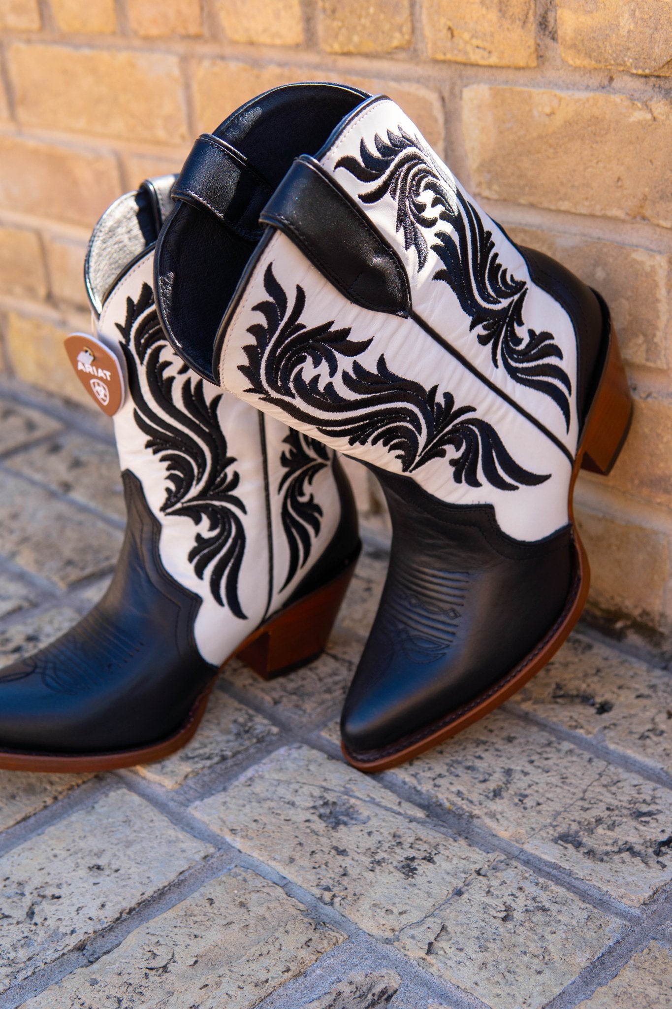 Ariat WMS Antonia Ink Well/Bright Pearl 10053789 - Southern Soule Designs