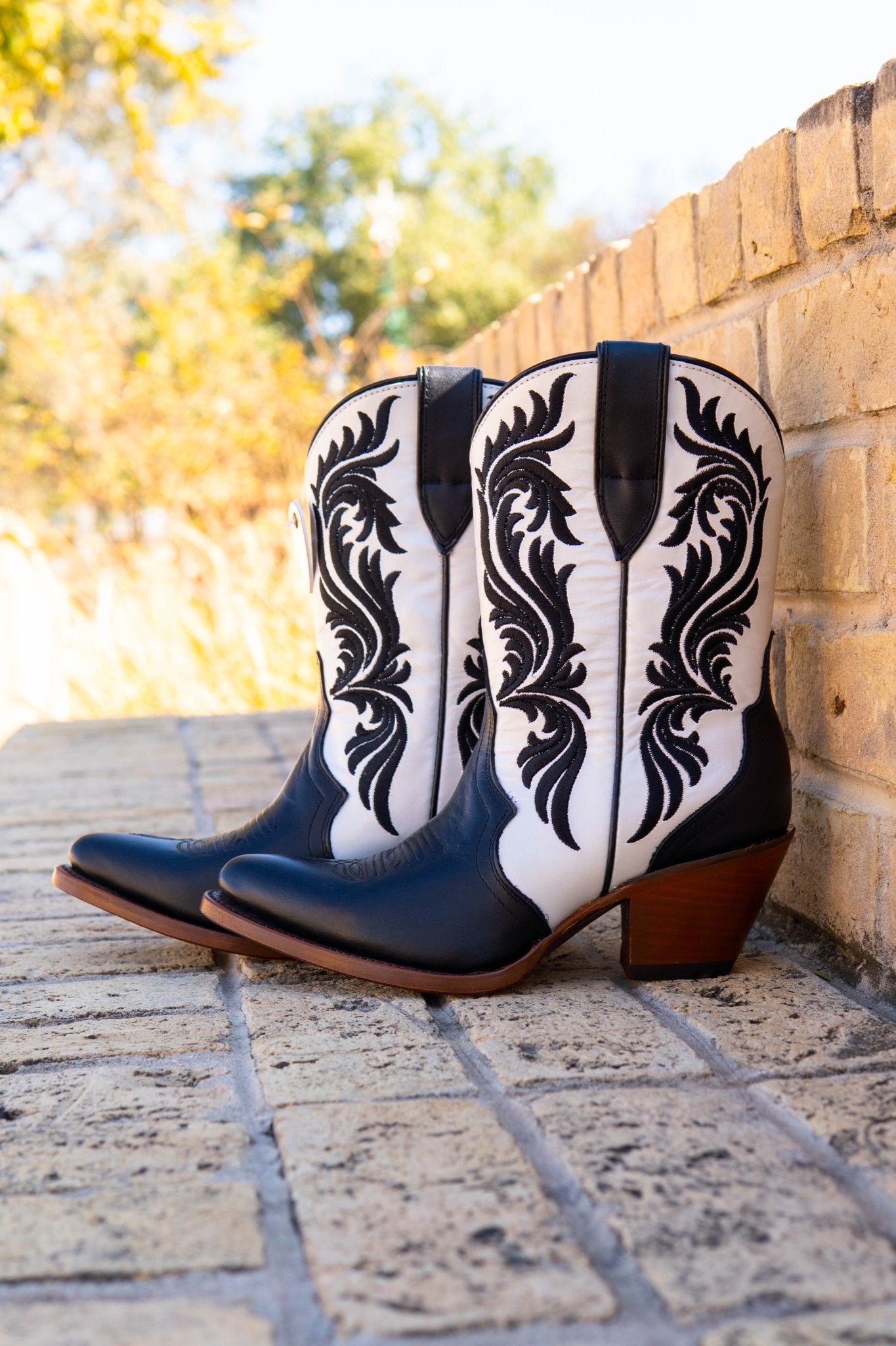 Ariat WMS Antonia Ink Well/Bright Pearl 10053789 - Southern Soule Designs