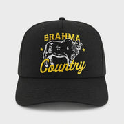 Raised by Coyotes Brahma Country Hat