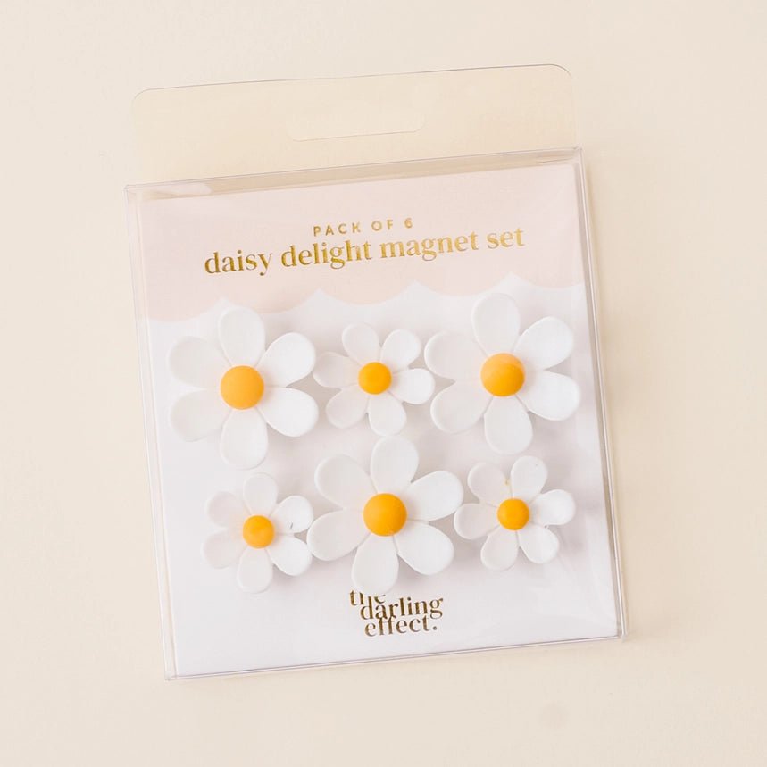 Daisy Delight Magnet Set - Southern Soule Designs