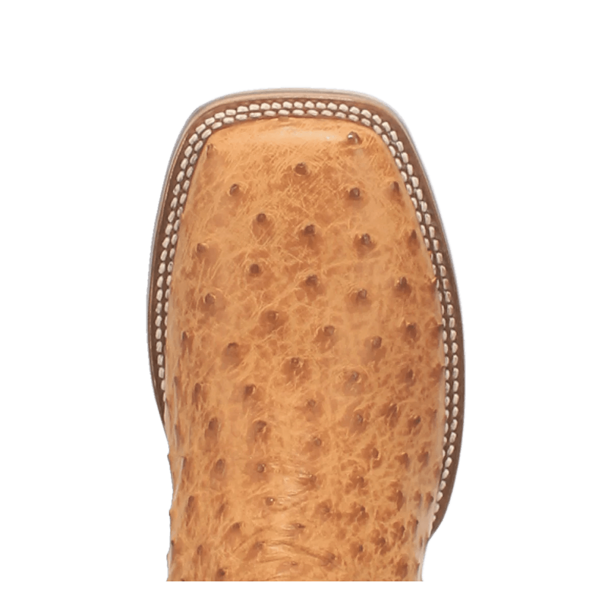 Dan Post Kershaw Saddle Ostrich Boot - Southern Soule Designs