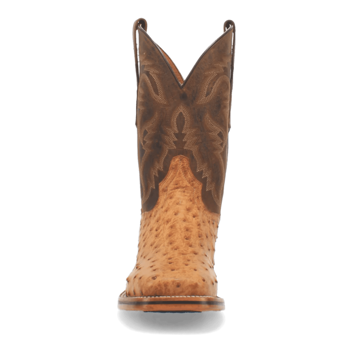 Dan Post Kershaw Saddle Ostrich Boot - Southern Soule Designs