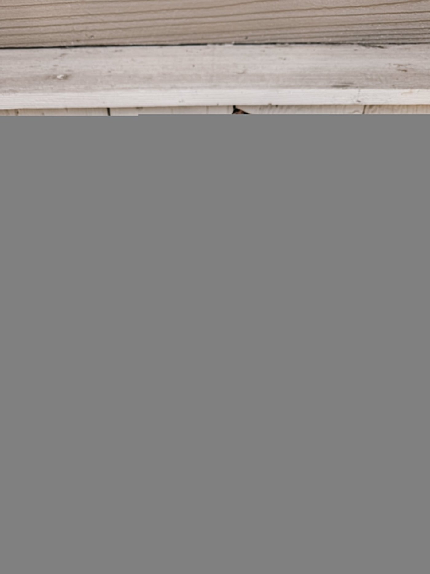 Daphine Leopard Print Sandal - Southern Soule Designs