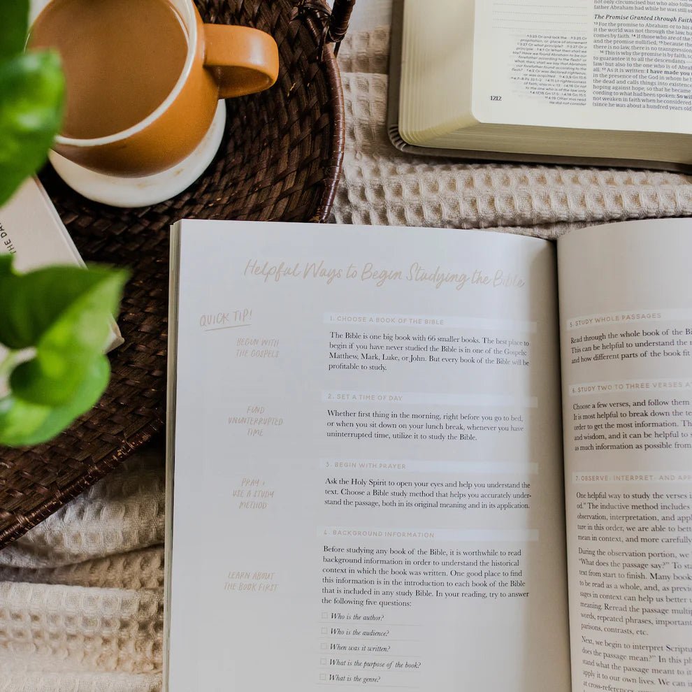 Faith Foundations Basic Study - Southern Soule Designs