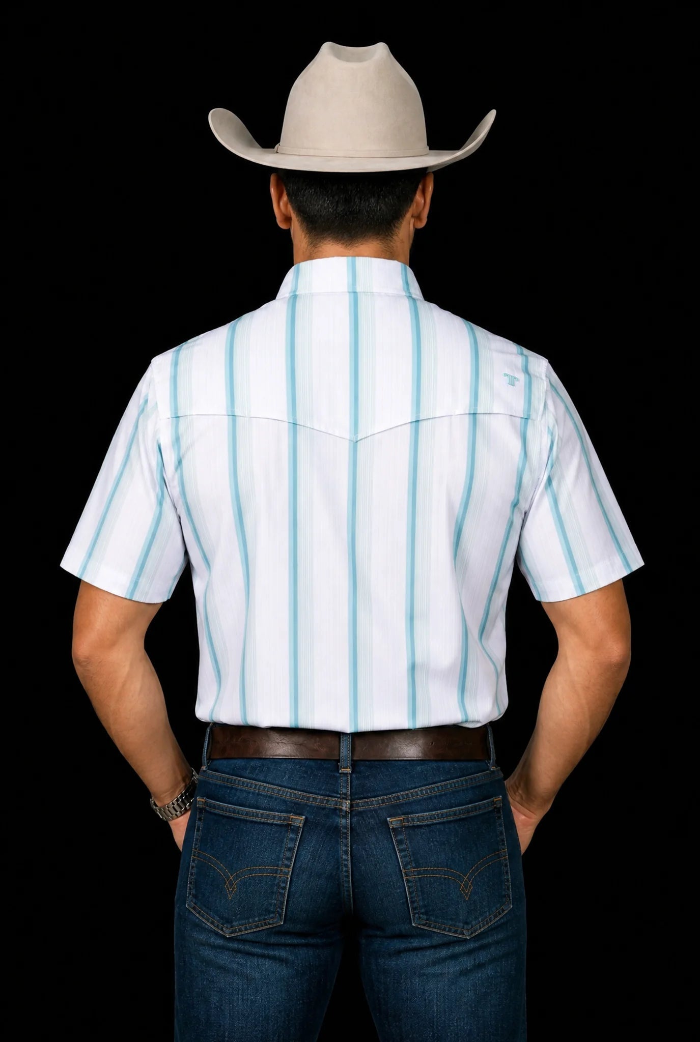 Ferrell - The Tristan Grey/Green Short Sleeve Snap Shirt - Southern Soule Designs