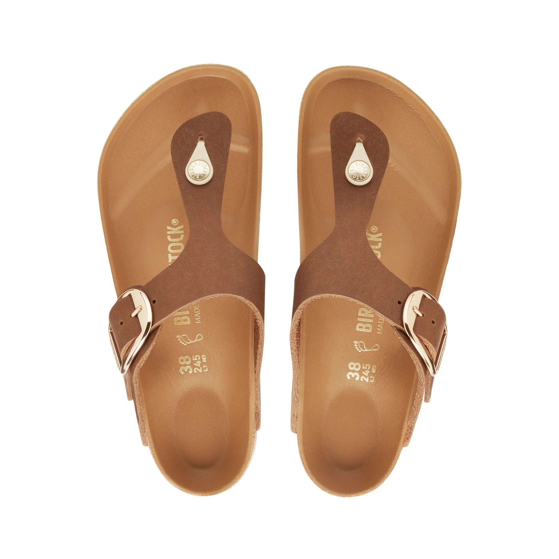 Gizeh Big Buckle Cognac Regular/Wide - Southern Soule Designs