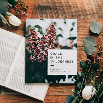 Grace in the Wilderness Study - Southern Soule Designs