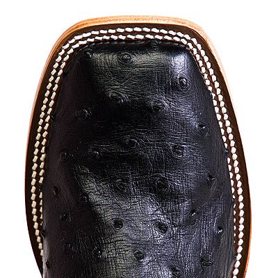 HP8004 Black FQ Ostri/Emerald - Southern Soule Designs