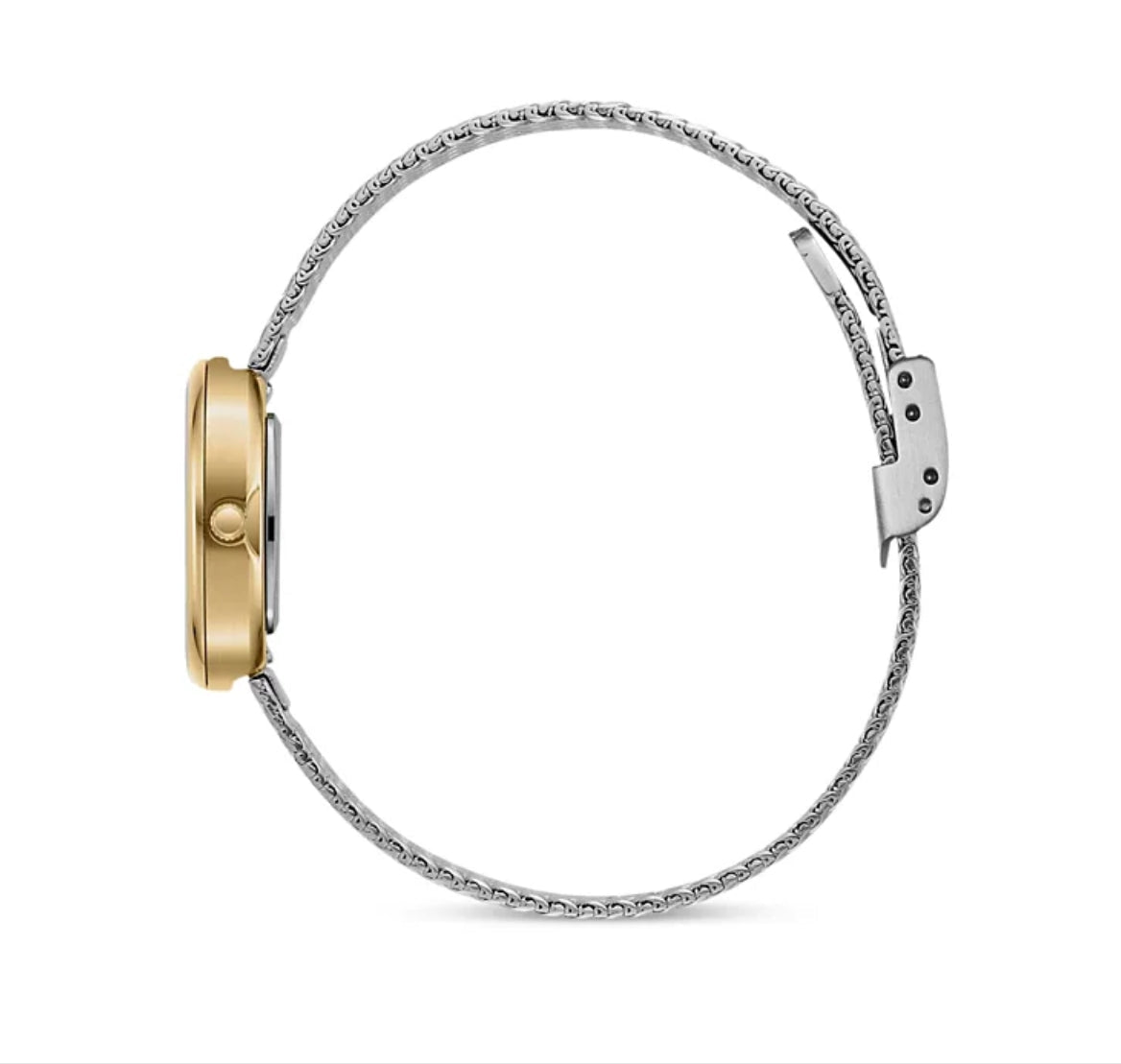 Jane Tethered Silver/Gold Mesh Watch 23MM 1741q - Southern Soule Designs