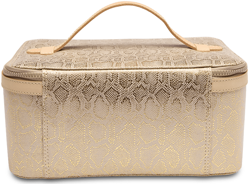 Leah Train Case - Southern Soule Designs