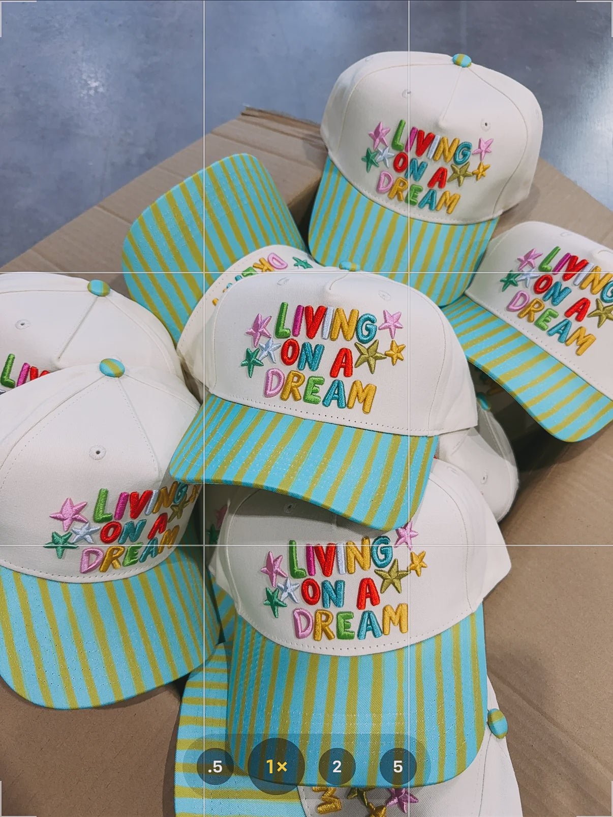 Livin' on a Dream Trucker Cap - Southern Soule Designs