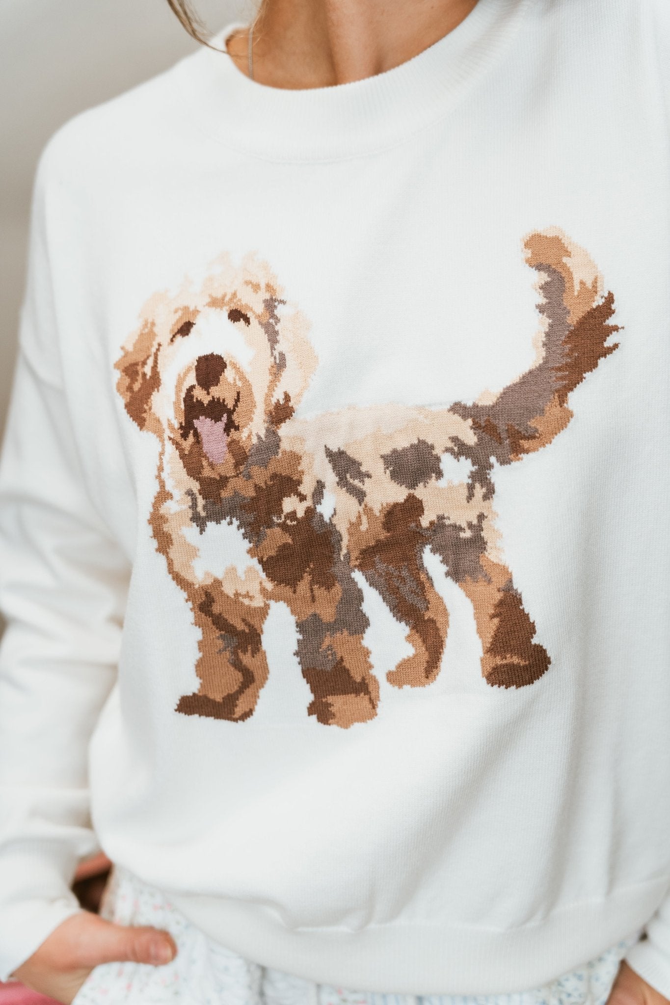 Long Sleeve Crew Neck Puppy Graphic Sweater - Southern Soule Designs