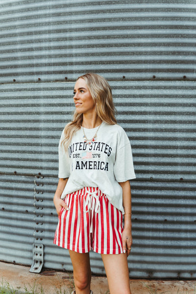 Pearl Grey United States of America Embroider Flag Tee - Southern Soule Designs