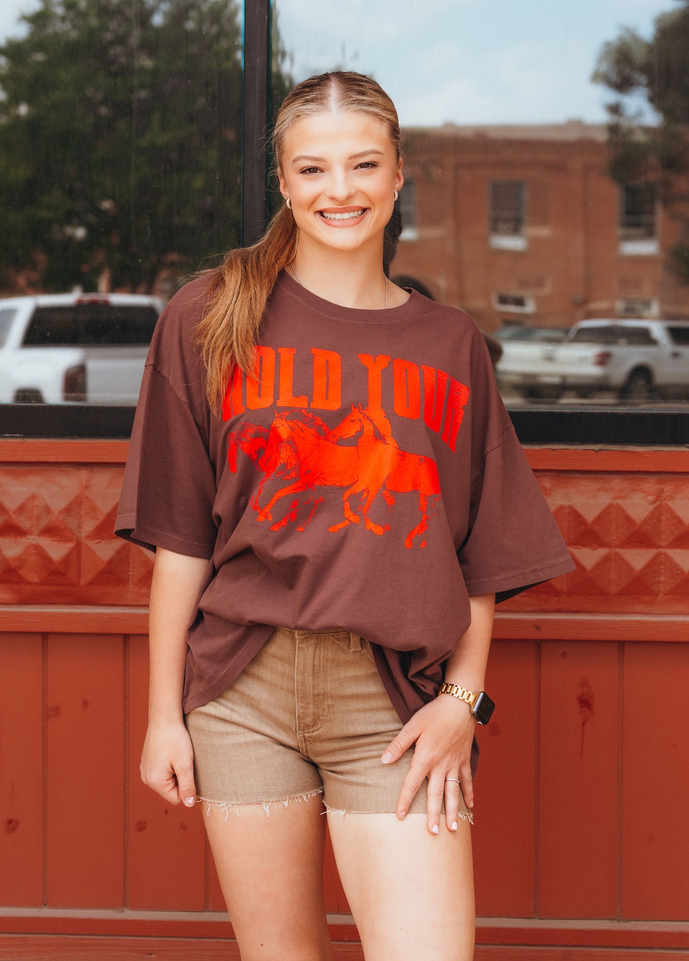 DayDreamer Hold Your Horses OS Tee Brown Stone