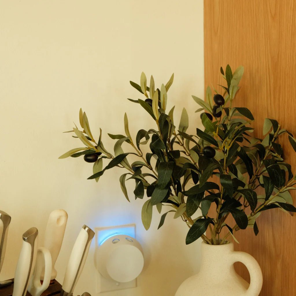 Sweer Grace Pura + Bridgewater Diffuser Set - Southern Soule Designs